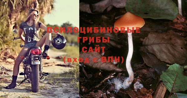 apvp Карталы
