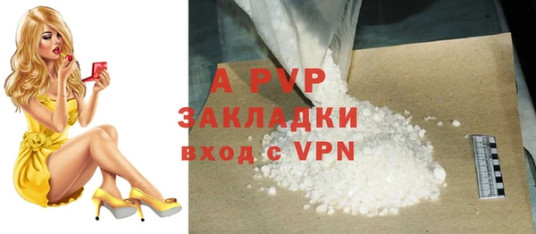 дживик Касимов