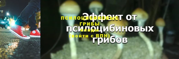 apvp Карталы