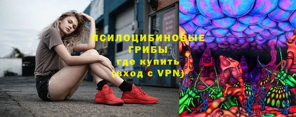 дживик Касимов
